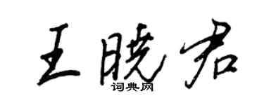 王正良王曉君行書個性簽名怎么寫