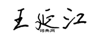 王正良王延江行書個性簽名怎么寫