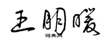 曾慶福王朋暖草書個性簽名怎么寫