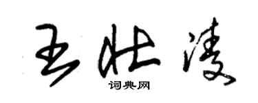 朱錫榮王壯凌草書個性簽名怎么寫