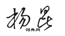駱恆光楊昆草書個性簽名怎么寫