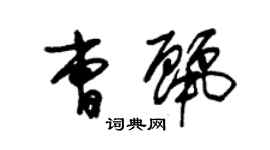 朱錫榮曹麗草書個性簽名怎么寫