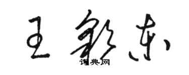 駱恆光王彩東草書個性簽名怎么寫