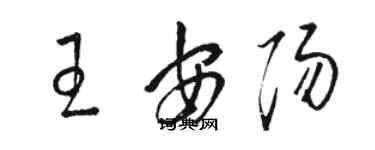 駱恆光王安陽草書個性簽名怎么寫