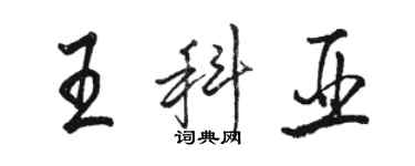 駱恆光王科亞行書個性簽名怎么寫