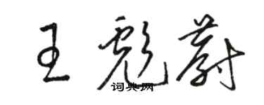 駱恆光王彪蔚草書個性簽名怎么寫