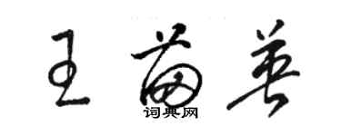 駱恆光王苗英草書個性簽名怎么寫