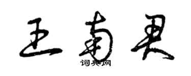 曾慶福王南君草書個性簽名怎么寫