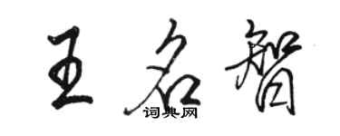 駱恆光王名智行書個性簽名怎么寫
