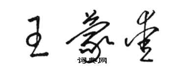 駱恆光王蒙愛草書個性簽名怎么寫