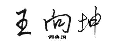 駱恆光王向坤行書個性簽名怎么寫