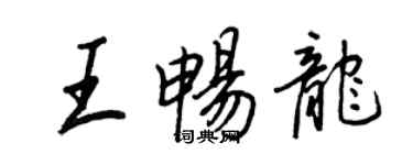 王正良王暢龍行書個性簽名怎么寫