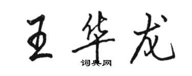 駱恆光王華龍行書個性簽名怎么寫