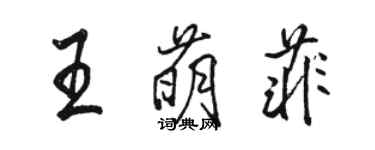 駱恆光王萌菲行書個性簽名怎么寫