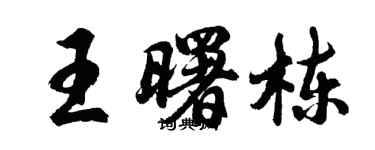 胡問遂王曙棟行書個性簽名怎么寫
