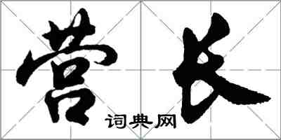 胡問遂營長行書怎么寫