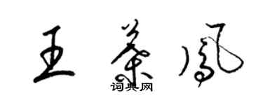 梁錦英王葉鳳草書個性簽名怎么寫