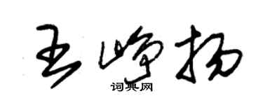 朱錫榮王崢揚草書個性簽名怎么寫