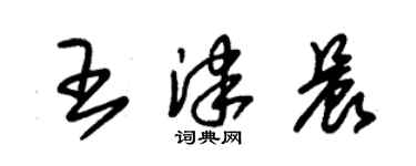 朱錫榮王津晨草書個性簽名怎么寫