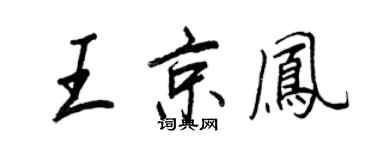 王正良王京鳳行書個性簽名怎么寫