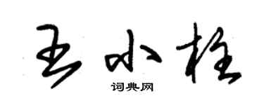 朱錫榮王小柱草書個性簽名怎么寫