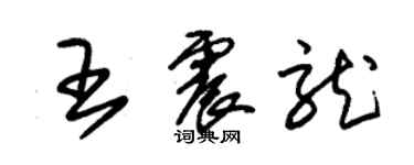 朱錫榮王震龍草書個性簽名怎么寫