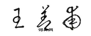 駱恆光王善甫草書個性簽名怎么寫