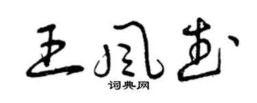 曾慶福王風武草書個性簽名怎么寫