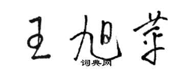 駱恆光王旭苹草書個性簽名怎么寫