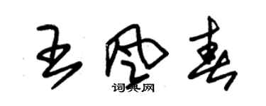 朱錫榮王風春草書個性簽名怎么寫