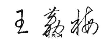 駱恆光王荔梅草書個性簽名怎么寫