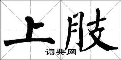 翁闓運上肢楷書怎么寫