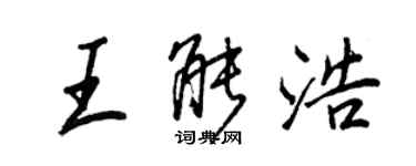 王正良王能浩行書個性簽名怎么寫