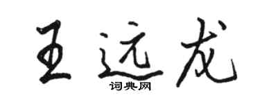 駱恆光王遠龍行書個性簽名怎么寫