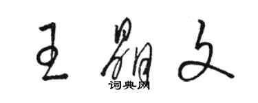 駱恆光王晶文草書個性簽名怎么寫