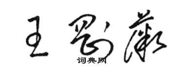 駱恆光王剛薇草書個性簽名怎么寫