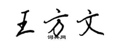 王正良王方文行書個性簽名怎么寫