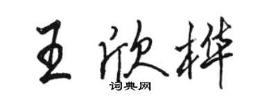 駱恆光王欣樺行書個性簽名怎么寫