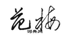 駱恆光范梅草書個性簽名怎么寫