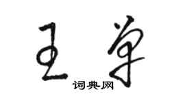 駱恆光王單草書個性簽名怎么寫