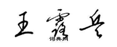 梁錦英王露兵草書個性簽名怎么寫