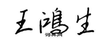 王正良王鴻生行書個性簽名怎么寫
