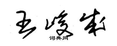 朱錫榮王峻成草書個性簽名怎么寫