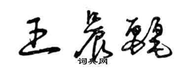 曾慶福王晨麗草書個性簽名怎么寫