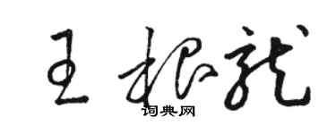 駱恆光王根龍草書個性簽名怎么寫