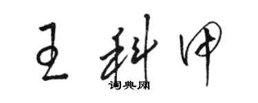 駱恆光王科甲草書個性簽名怎么寫