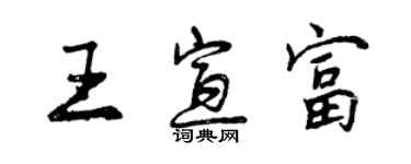 曾慶福王宣富行書個性簽名怎么寫