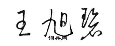 駱恆光王旭碧草書個性簽名怎么寫