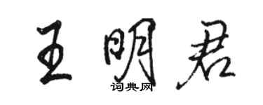 駱恆光王明君行書個性簽名怎么寫