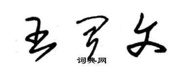 朱錫榮王聞文草書個性簽名怎么寫